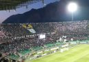 PLAY OFF SERIE C – “Palermo – Triestina” 1-1, Rosanero al secondo turno