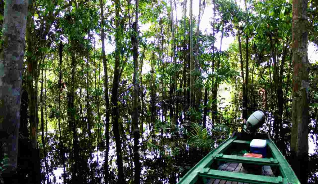 Ancora oggi tutti la conoscono come l’AMAZZONIA DI SICILIA | Una foresta ricca di storia e bellezza