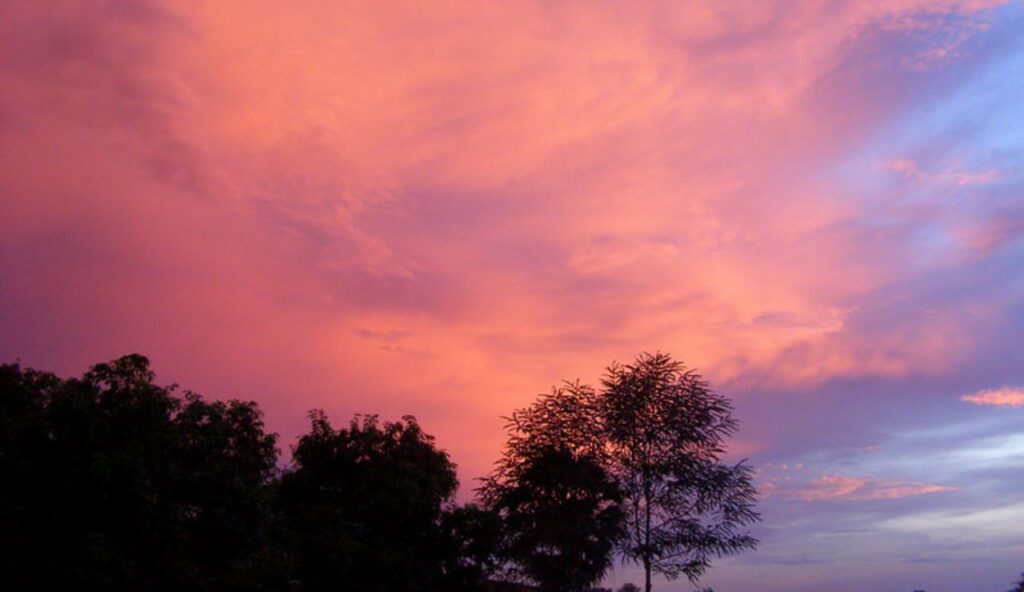 ULTIM’ORA: Stasera il cielo sarà ROSA a Palermo | Non è la fine del mondo, ma portati una giacca e qualcuno da abbracciare
