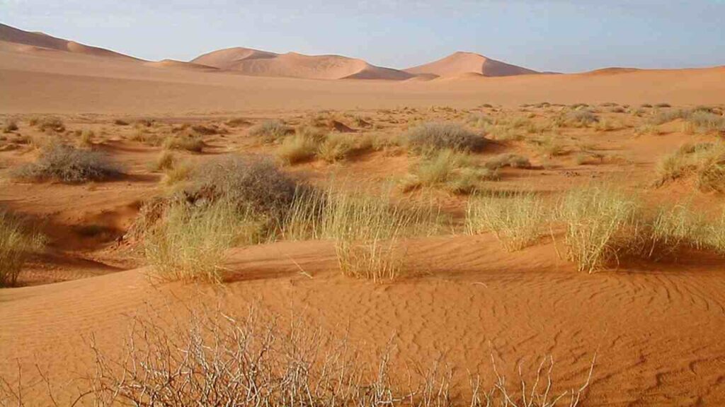 Ancora oggi c’è chi la chiama il SAHARA DI SICILIA | Qui del venditore di granite nemmeno l’ombra, solo sabbia dorata